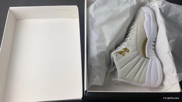 12 Retro Jordan 873864-102 White OVO 1204